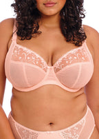 ELOMI CHARLEY UNDERWIRE PLUNGE BRA